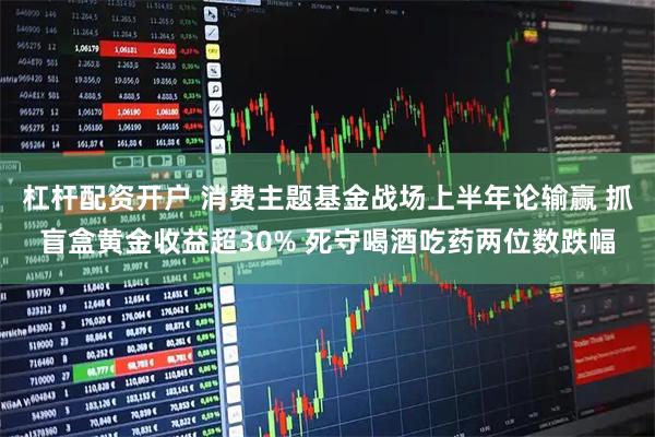杠杆配资开户 消费主题基金战场上半年论输赢 抓盲盒黄金收益超30% 死守喝酒吃药两位数跌幅